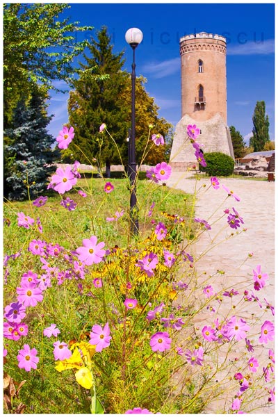 Foto: Cristi Niculescu