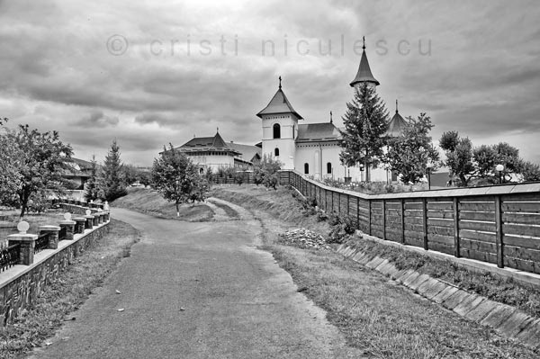 Foto: Cristi Niculescu