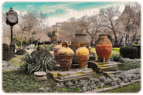 Foto: Cristi Niculescu