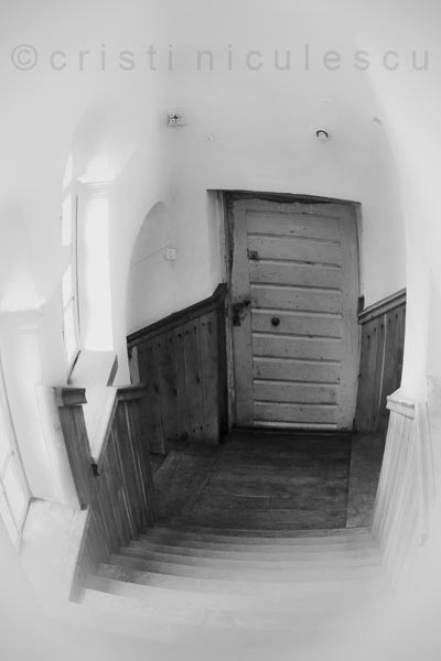 Foto: Cristi Niculescu