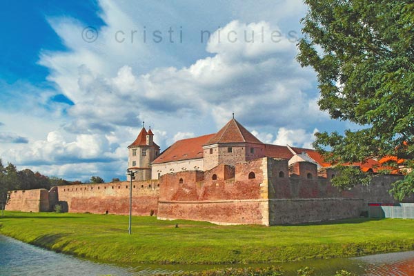 Foto: Cristi Niculescu