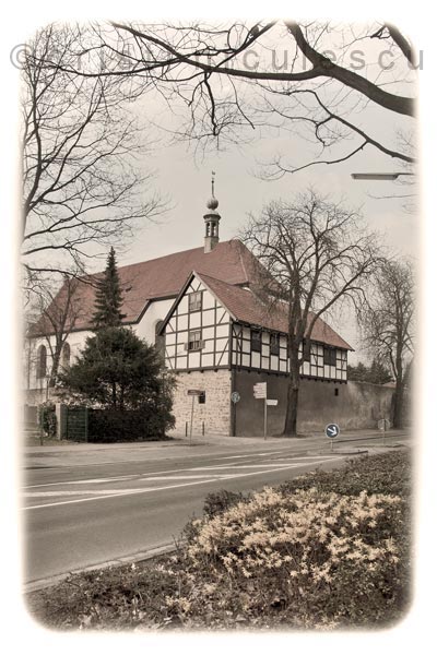 Foto: Cristi Niculescu