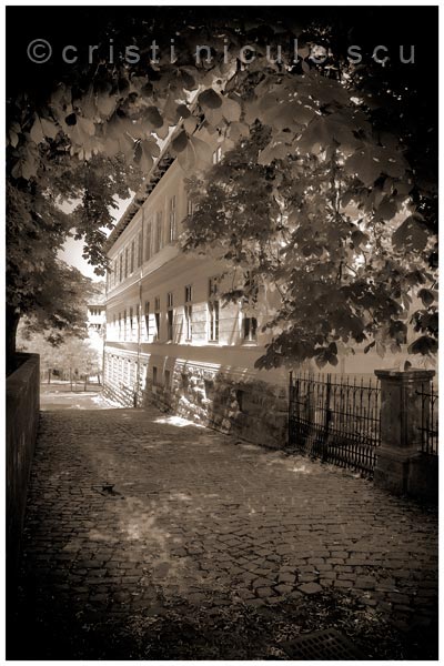 Foto: Cristi Niculescu