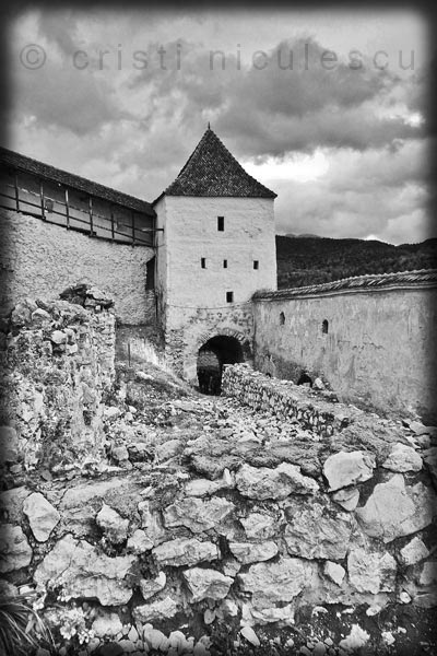 Foto: Cristi Niculescu