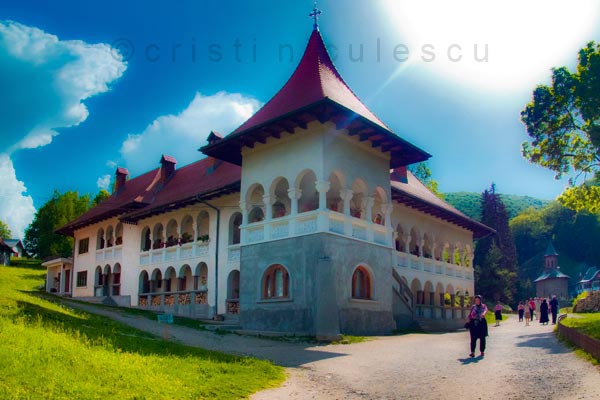 Foto: Cristi Niculescu