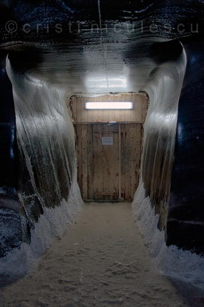 Foto: Cristi Niculescu