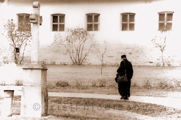 Foto: Cristi Niculescu