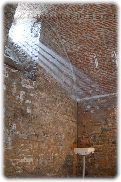 Foto: Cristi Niculescu