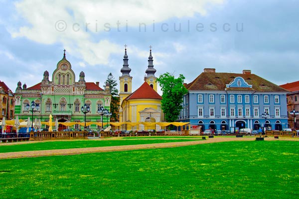 Foto: Cristi Niculescu