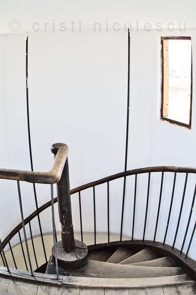 Foto: Cristi Niculescu