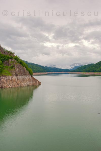 Foto: Cristi Niculescu