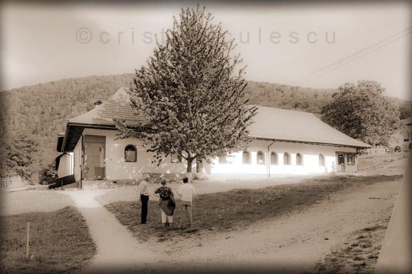 Foto: Cristi Niculescu