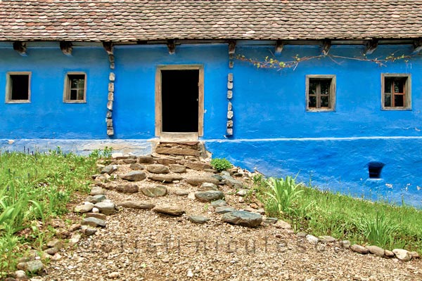 Foto: Cristi Niculescu