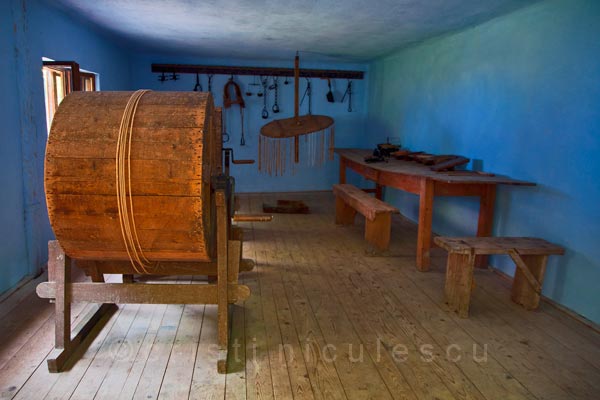 Foto: Cristi Niculescu