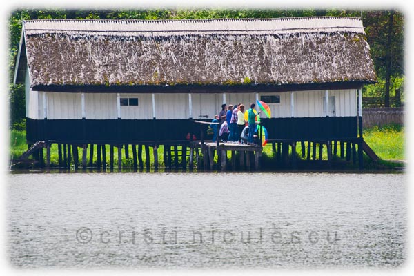 Foto: Cristi Niculescu