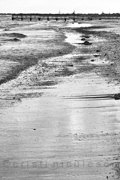 Foto: Cristi Niculescu