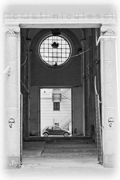 Foto: Cristi Niculescu