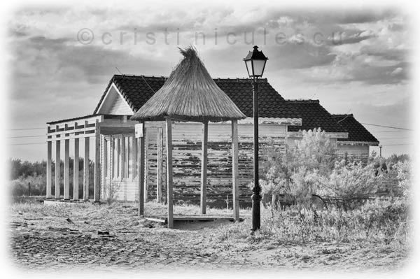 Foto: Cristi Niculescu