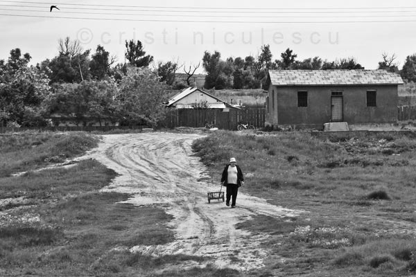 Foto: Cristi Niculescu