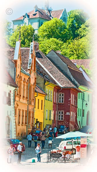 Foto: Cristi Niculescu