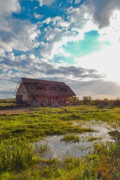 Foto: Cristi Niculescu