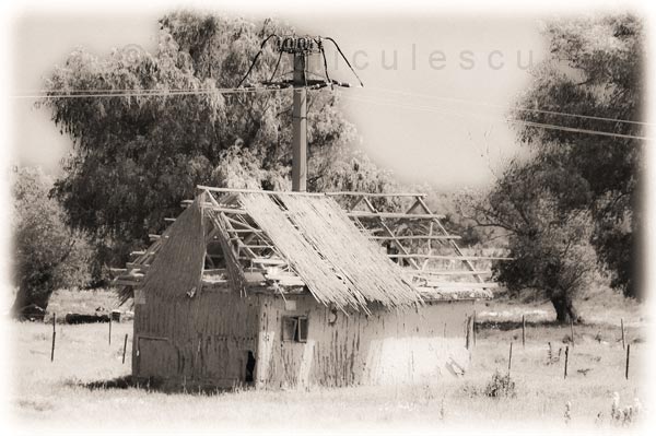 Foto: Cristi Niculescu