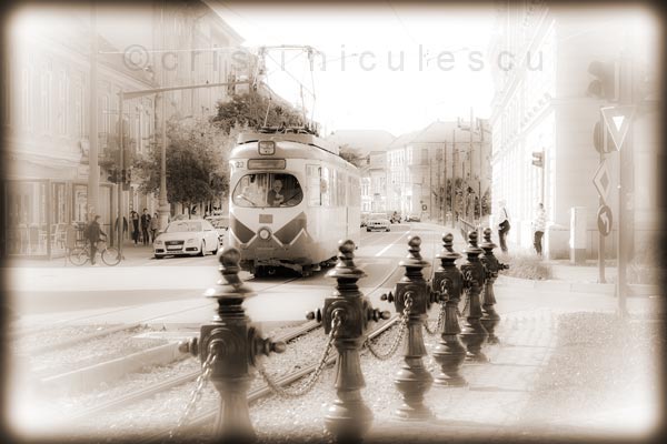 Foto: Cristi Niculescu