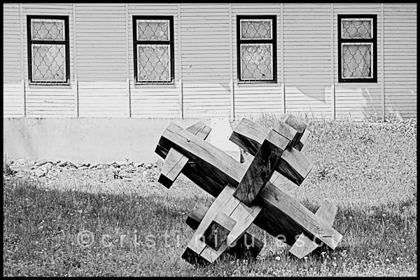 Foto: Cristi Niculescu