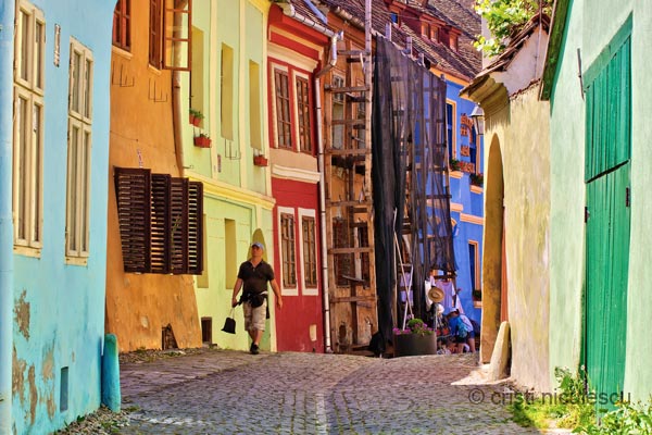 Foto: Cristi Niculescu