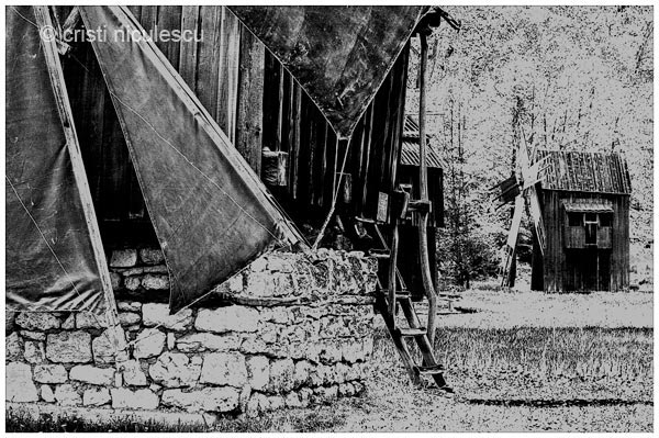 Foto: Cristi Niculescu