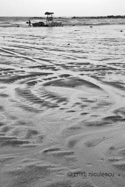 Foto: Cristi Niculescu