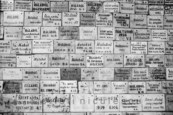 Foto: Cristi Niculescu