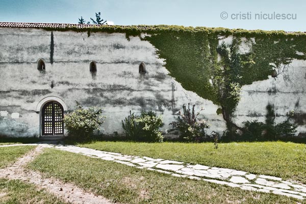 Foto: Cristi Niculescu