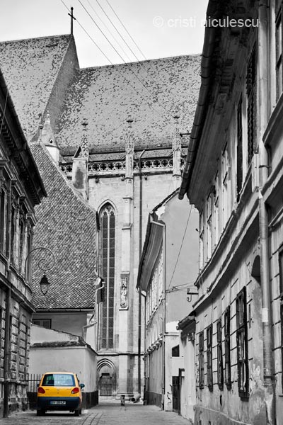 Foto: Cristi Niculescu