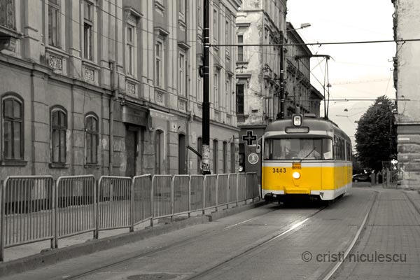 Foto: Cristi Niculescu