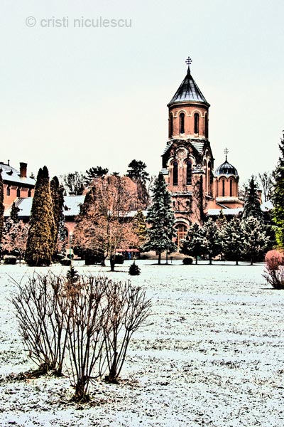 Foto: Cristi Niculescu