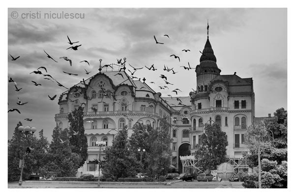 Foto: Cristi Niculescu