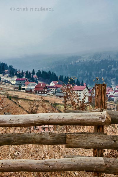 Foto: Cristi Niculescu