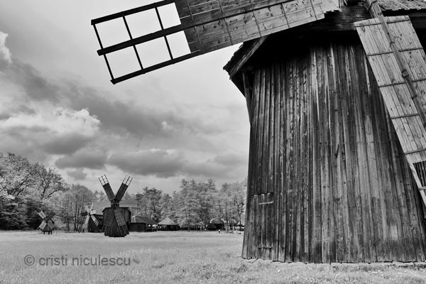 Foto: Cristi Niculescu