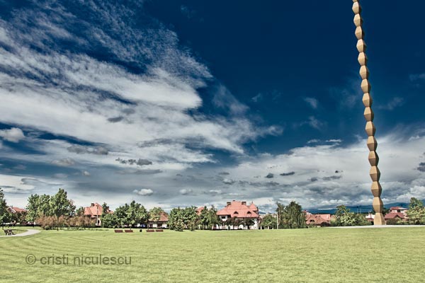 Foto: Cristi Niculescu