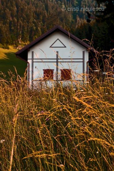 Foto: Cristi Niculescu