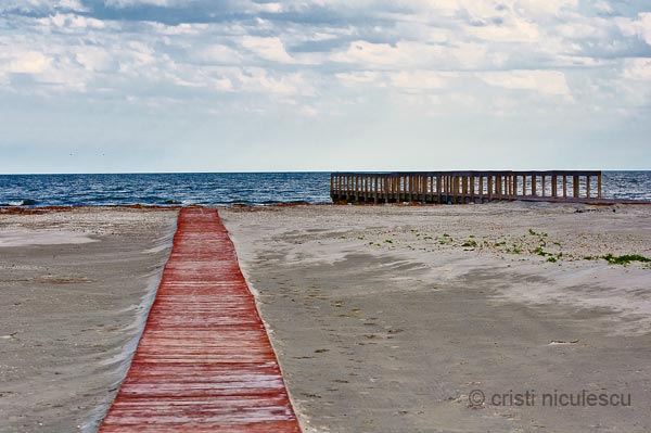 Foto: Cristi Niculescu