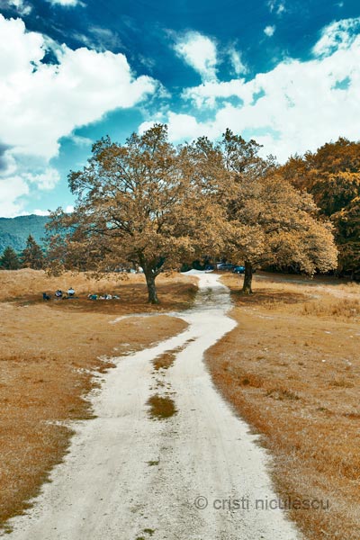 Foto: Cristi Niculescu