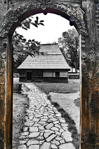 Foto: Cristi Niculescu