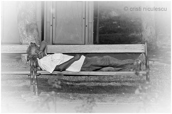 Foto: Cristi Niculescu