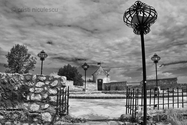 Foto: Cristi Niculescu