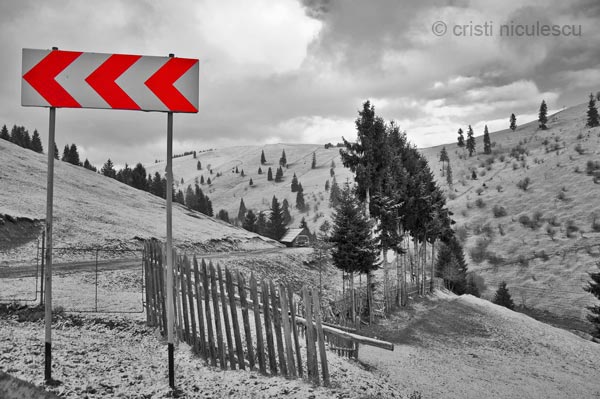 Foto: Cristi Niculescu