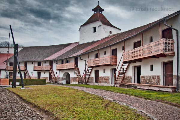 Foto: Cristi Niculescu