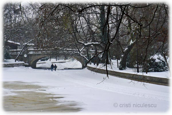 Foto: Cristi Niculescu