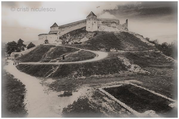 Foto: Cristi Niculescu